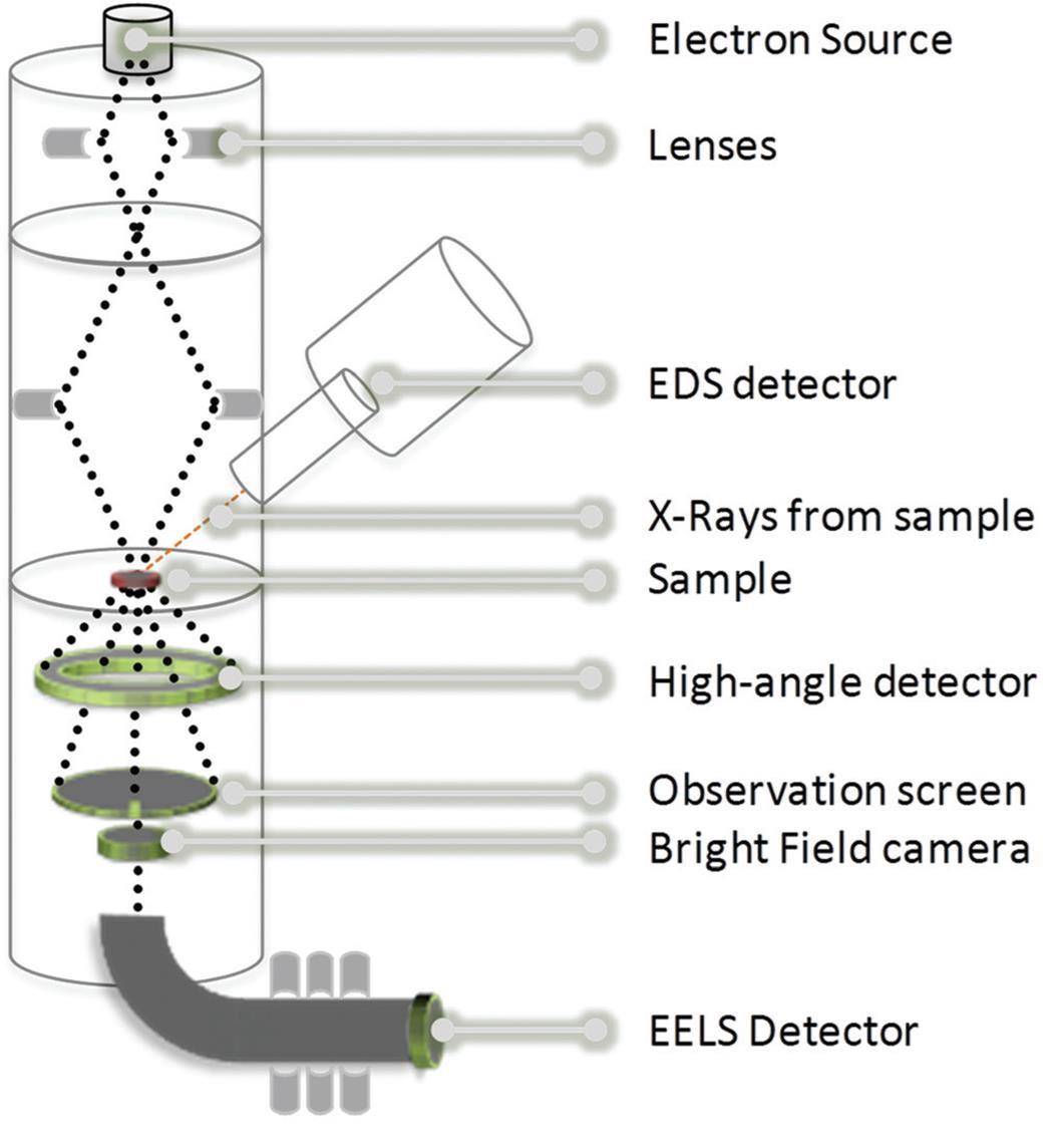 Electron Microscope