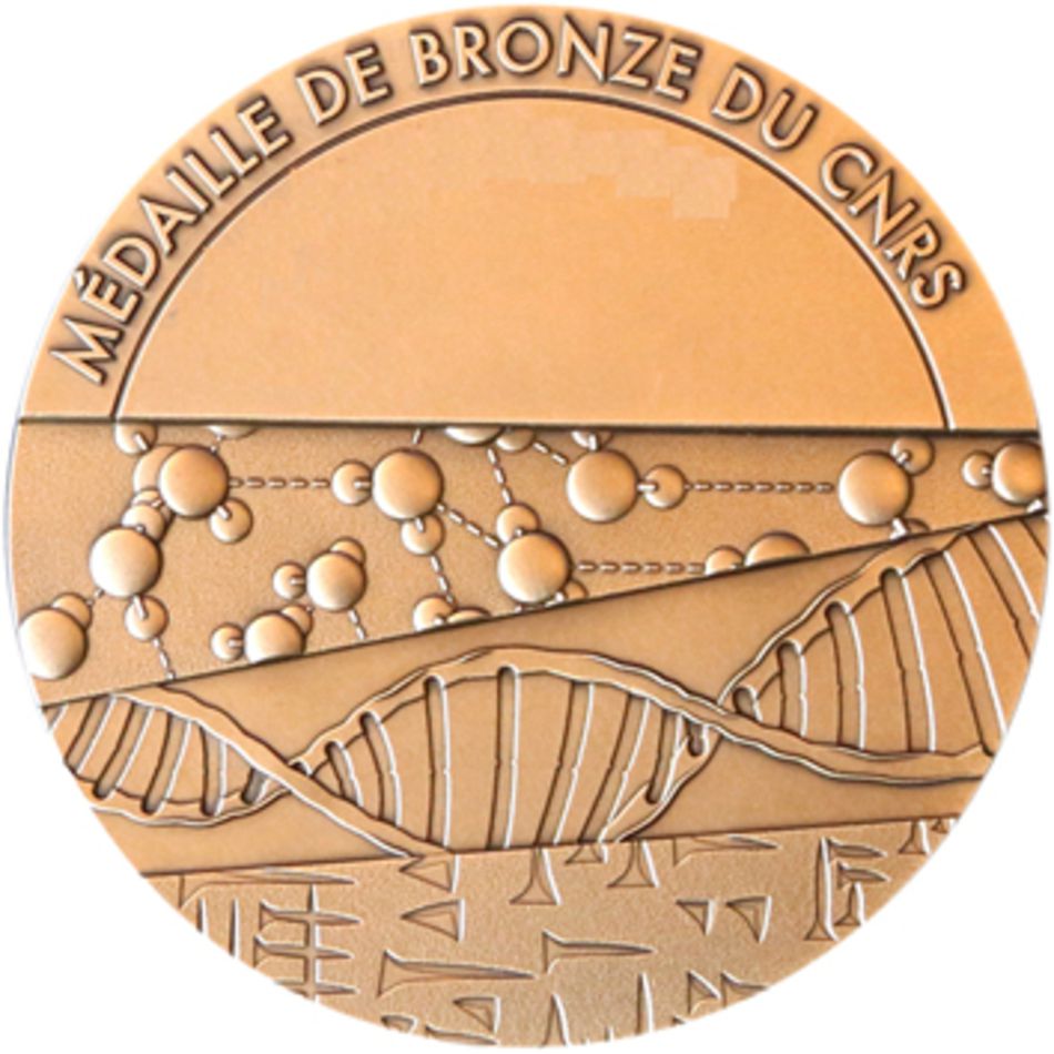 Bronze Medal