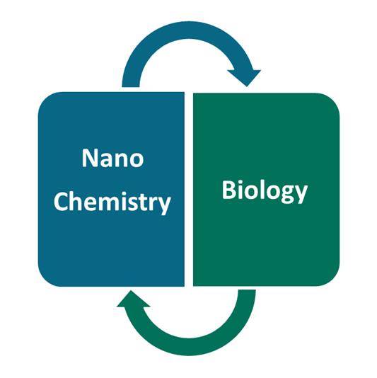 Safe-by-Design Nanoparticles